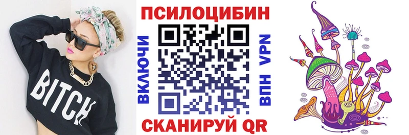 Купить  Истра  Псилоцибиновые грибы MAGIC MUSHROOMS 